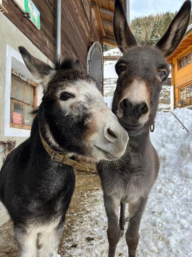 Apartmán Alpenfrieden Sankt Jakob in Defereggen Exteriér fotografie